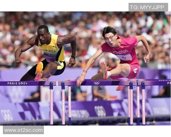 奥运会跨栏选手栏间步伐数与成绩波动关系探讨